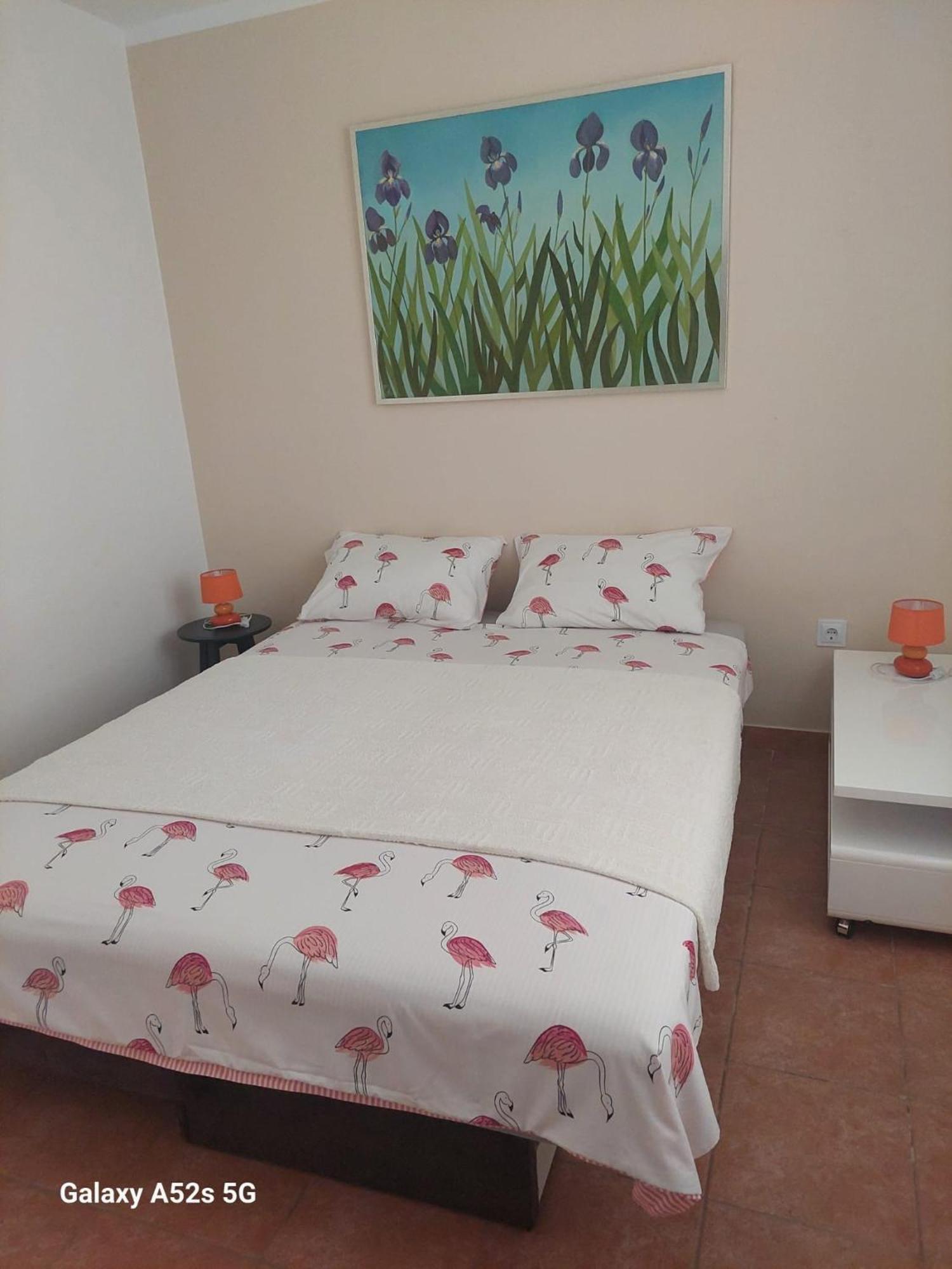 Apartments Pimpinella Premantura Kültér fotó