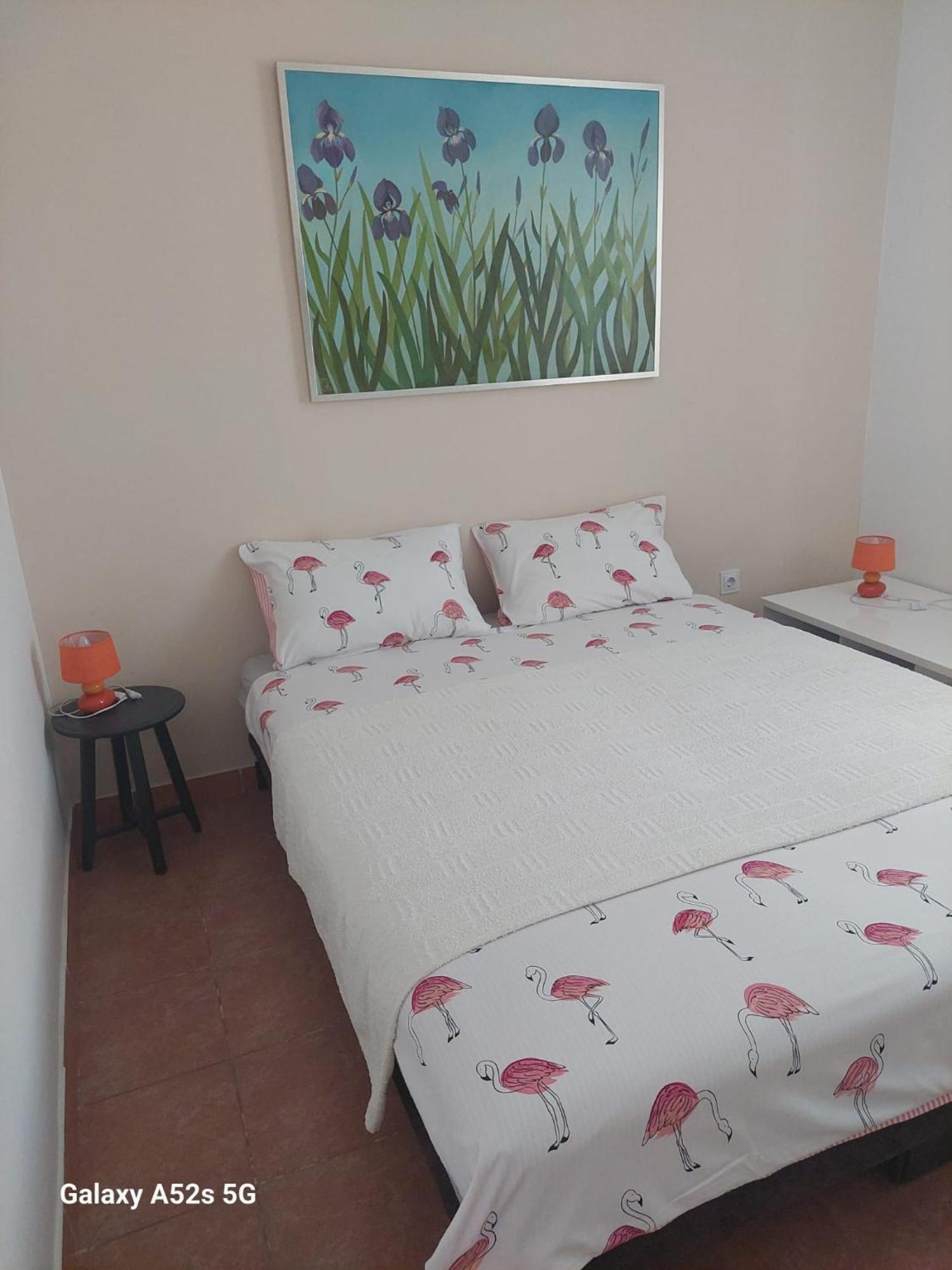 Apartments Pimpinella Premantura Kültér fotó